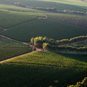 Architecturally Stunning Wineries