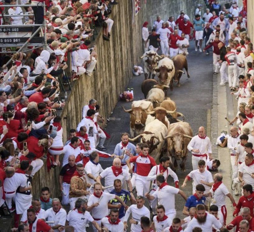 san fermin, bulls